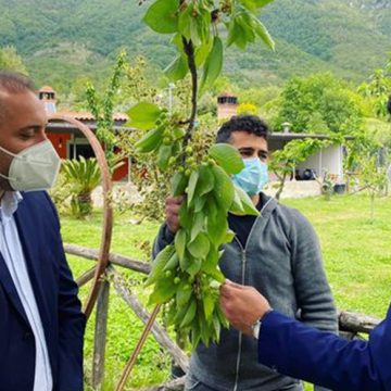 Andrea Volpe a Bracigliano, il paese delle ciliegie